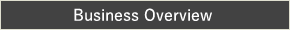Business Overview