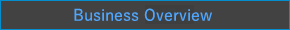 Business Overview